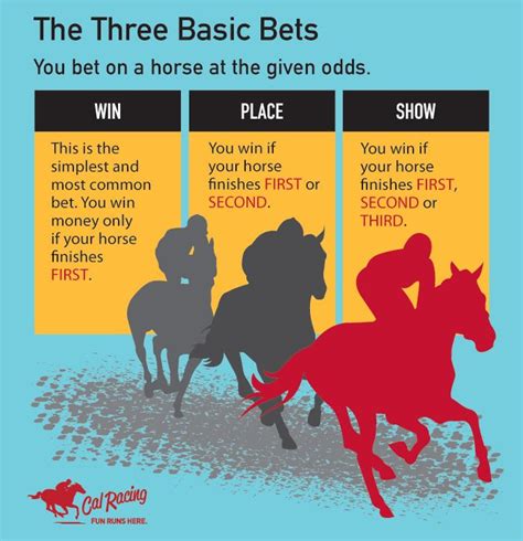 horse racing betting rules